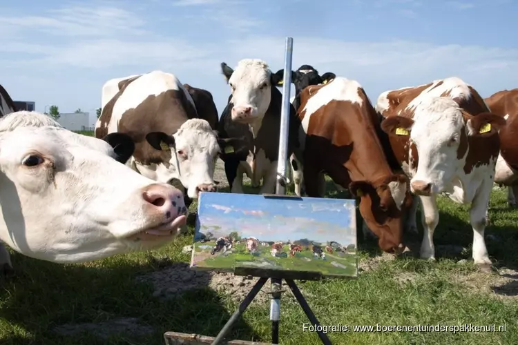 Koeschilderen onder leiding van Ruud Spil de Koeienkunstenaar
