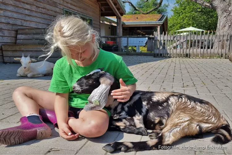 Dierendag op Zondag 2 oktober in Hertenkamp Enkhuizen