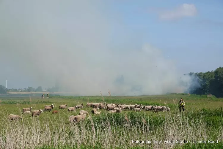 Rietbrand in Lutjebroek