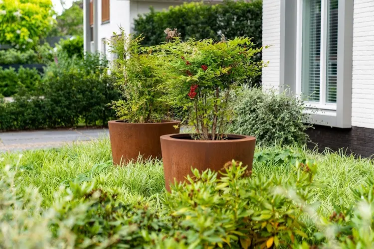 Creëer een Groene Oase met Plantenbakken