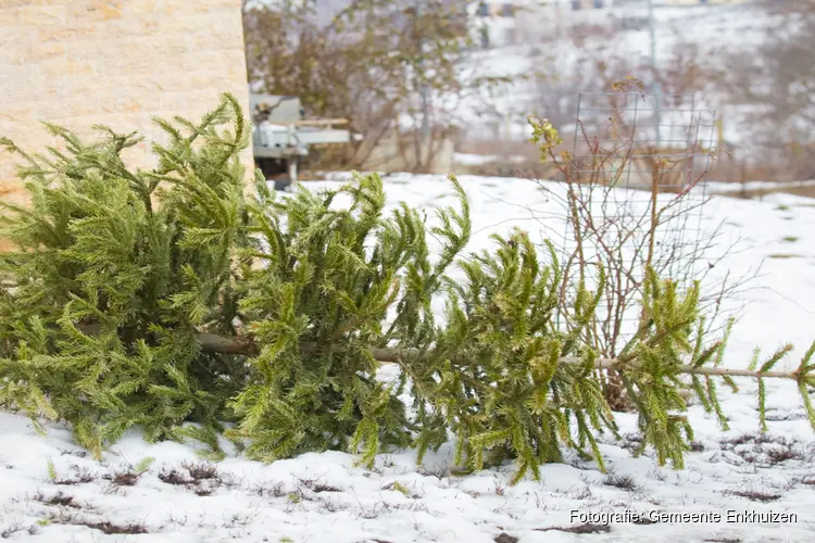 Kerstboom ophaalactie