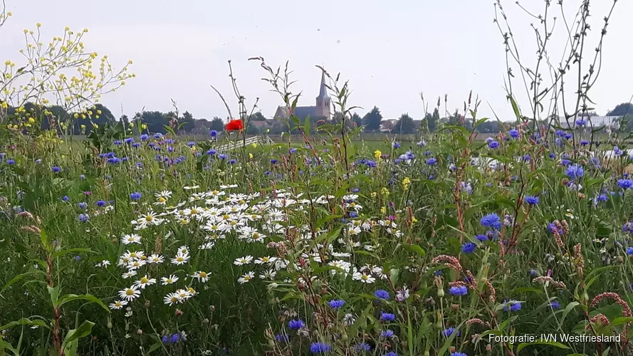 Drachterveld in Blokker