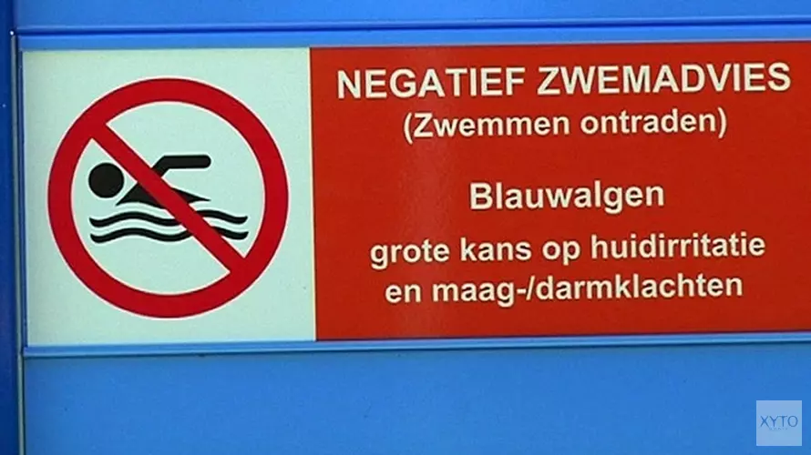 Hier kan je (beter) niet gaan zwemmen in Noord-Holland