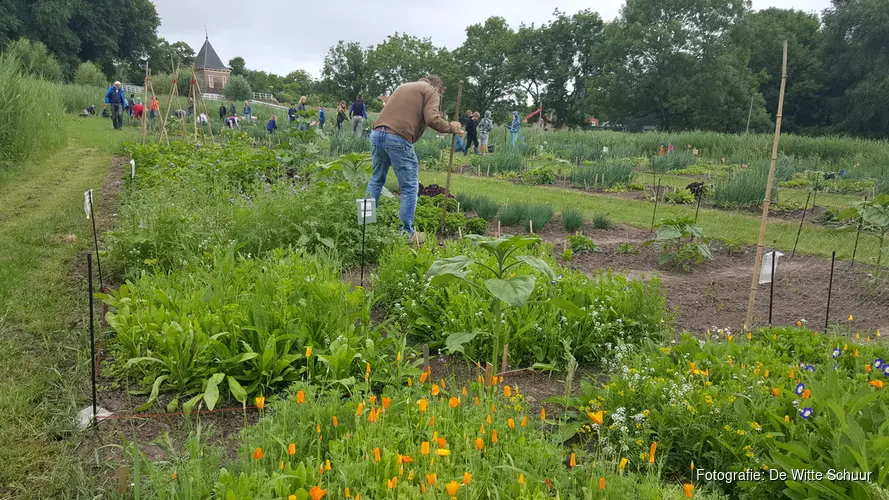 Pluktuin in Enkhuizen