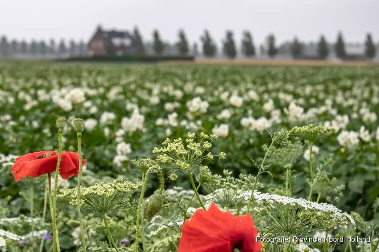 Coalitie Noord-Holland &#39;&#39;Duurzaam doorpakken!&#39;