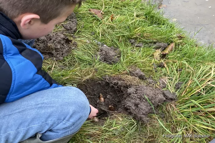 Opknapbeurt Natuurspeeltuin Het Boezelbos